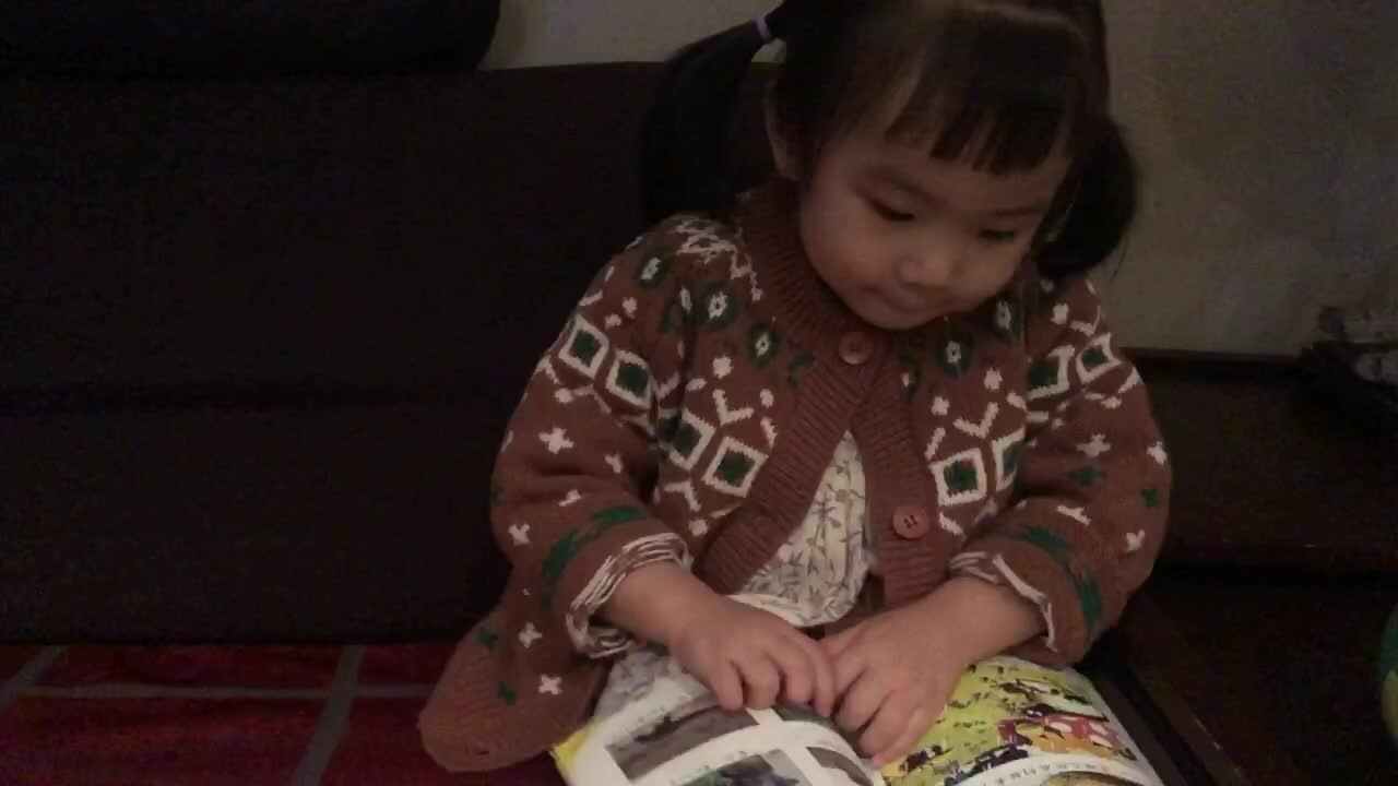 闯关练习2021.10.18《认识哺乳动物》