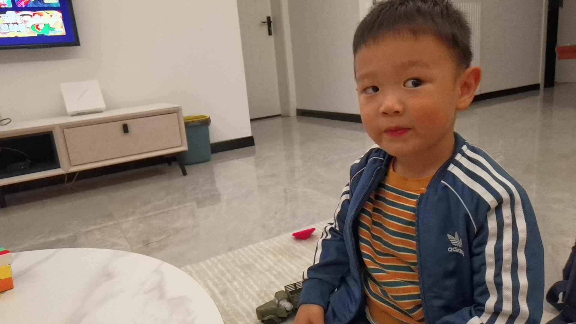 2021.10.18（学习认识哺乳动物）