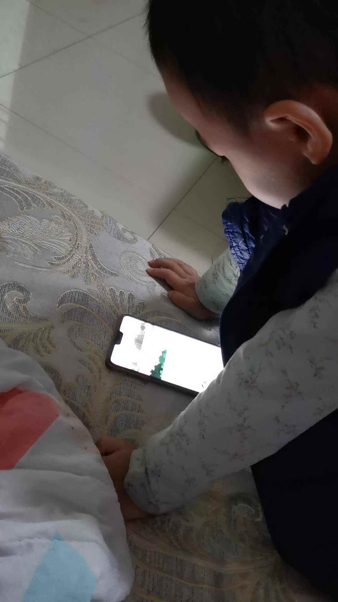 《登鹳雀楼》观看