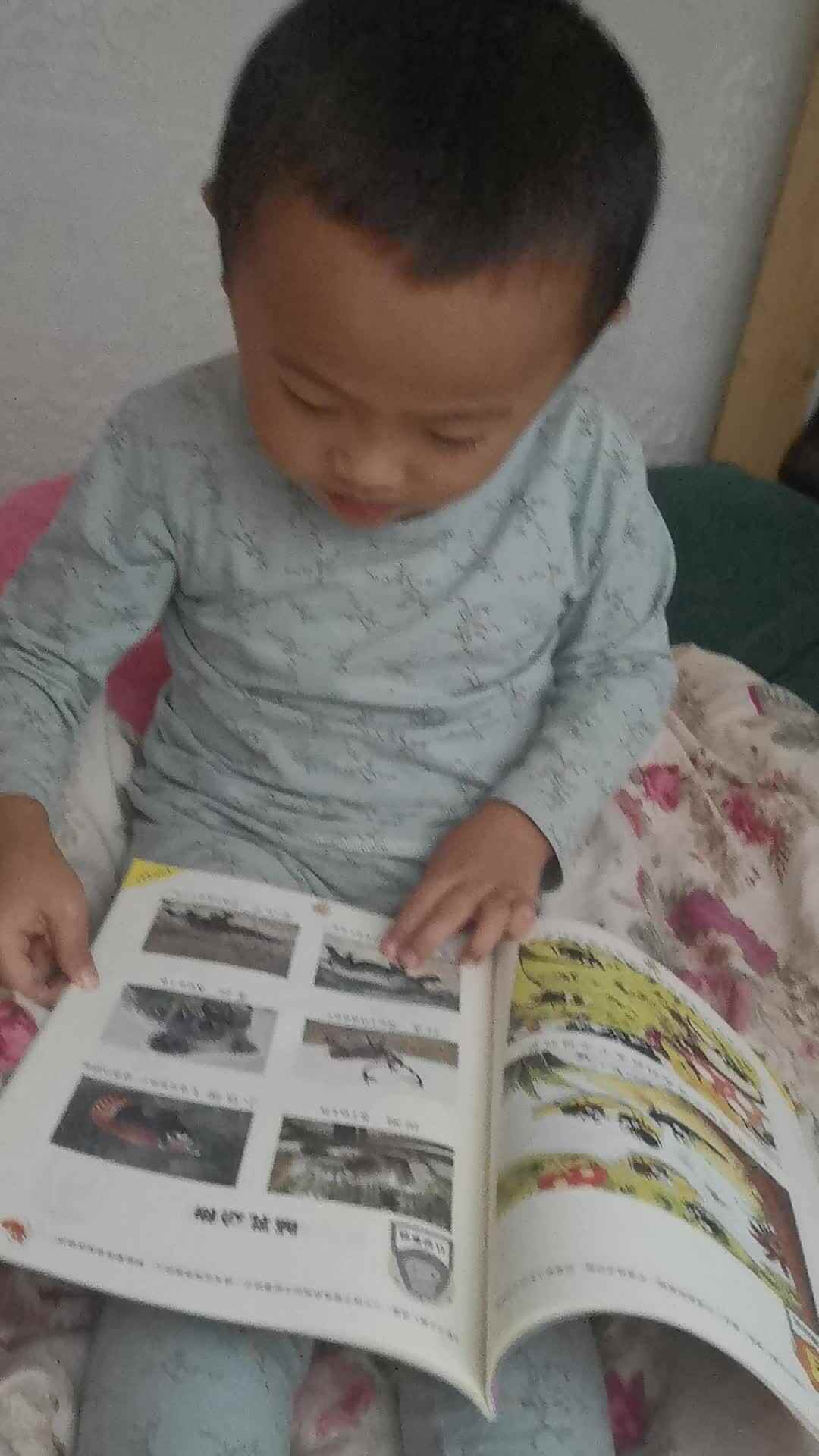 认识哺乳动物