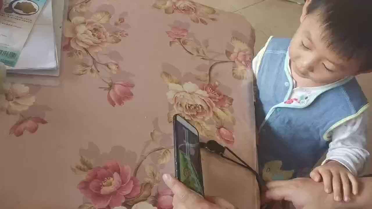 观看麦当劳老爷爷有个农场.mp4