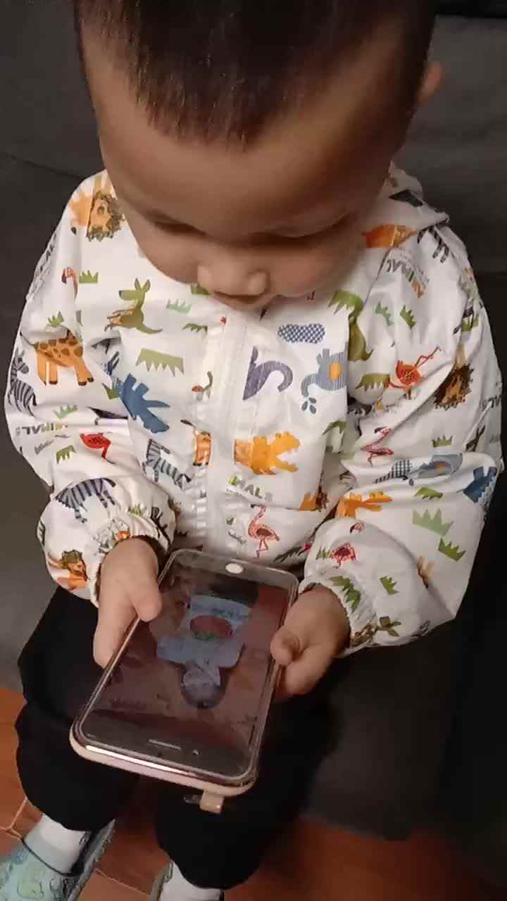 园里的番茄