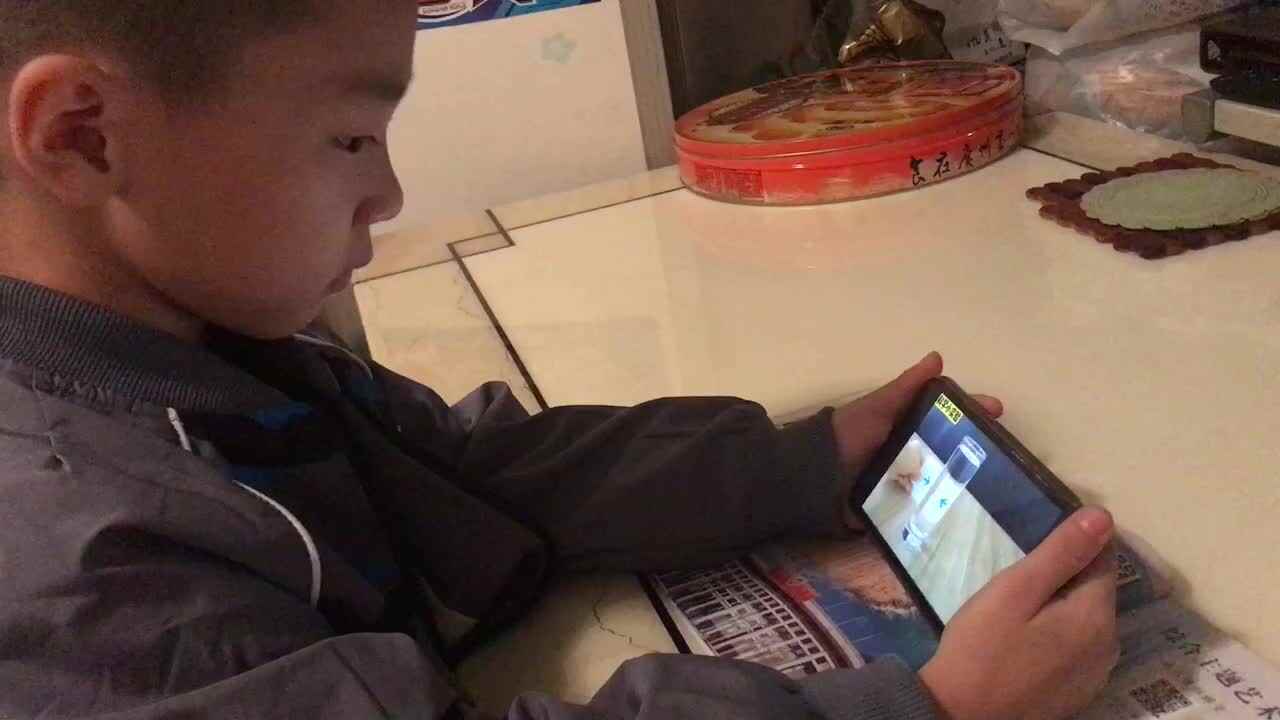科学小实验《迷失的方向》
