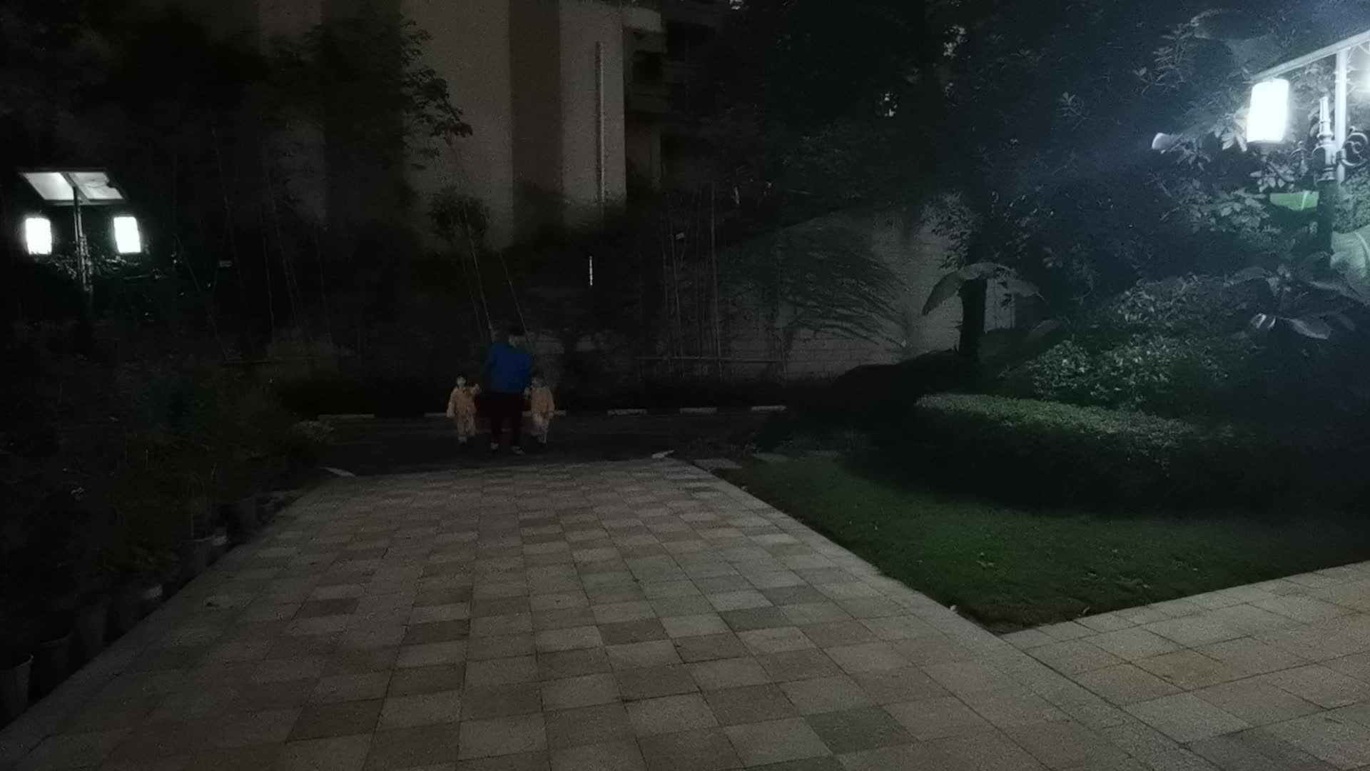 重阳打卡《陪爸爸散步》