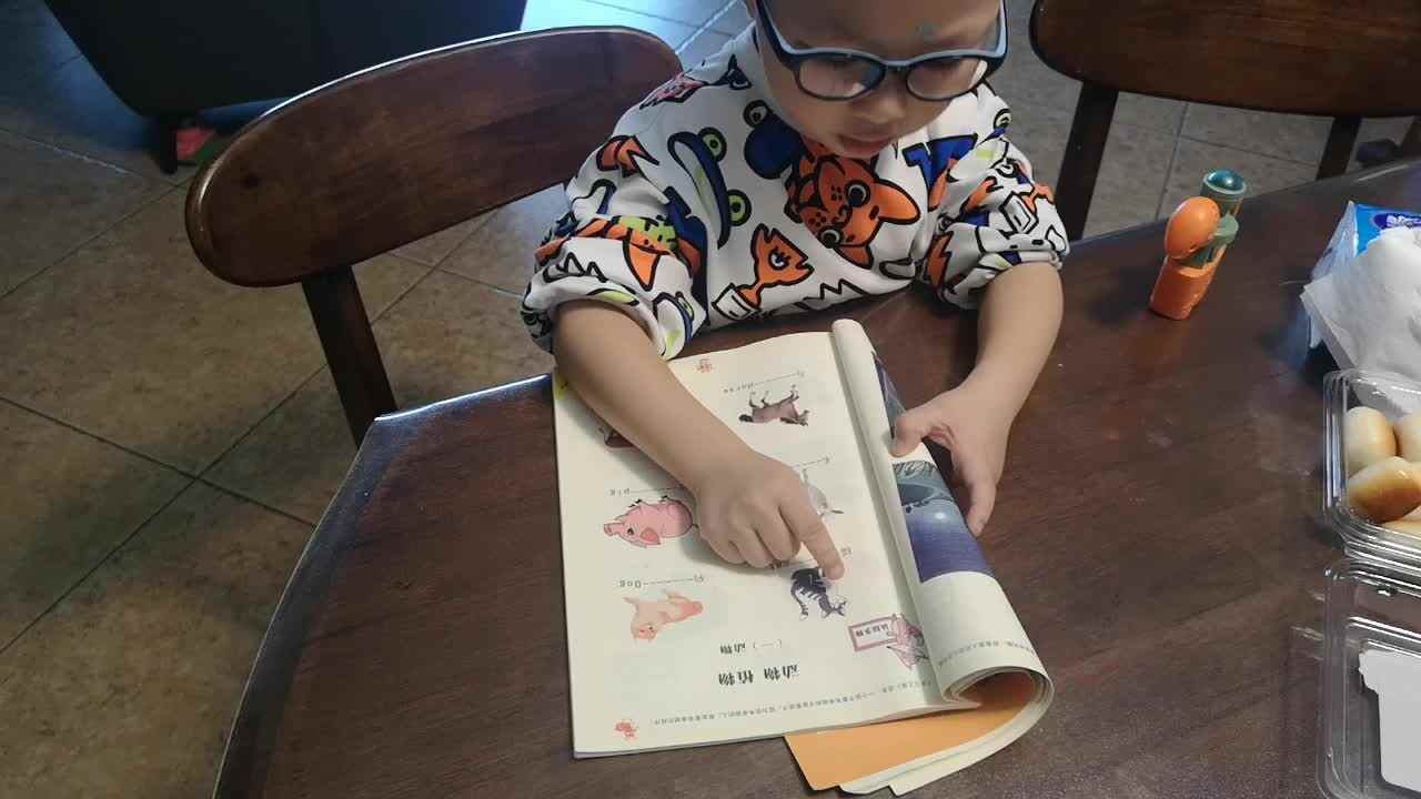 认识动物