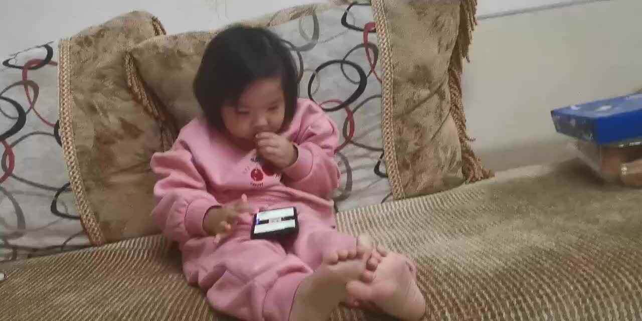 园里的番茄