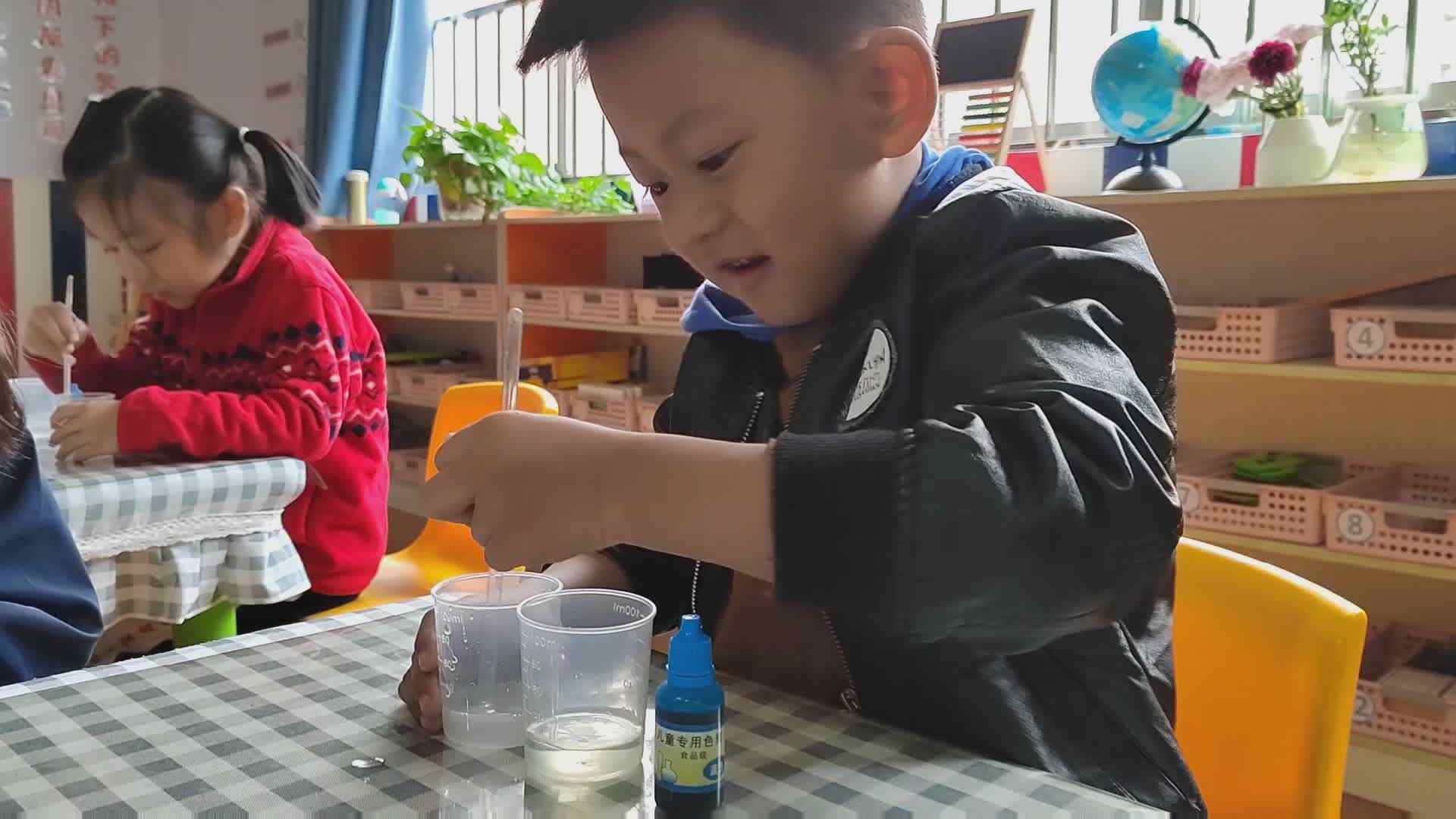 科学实验《色素扩散》mp4