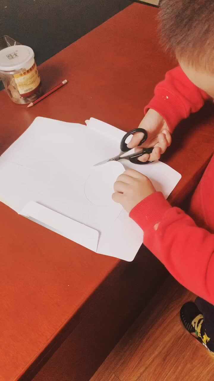 11.5家庭作业—手工制作小鸟