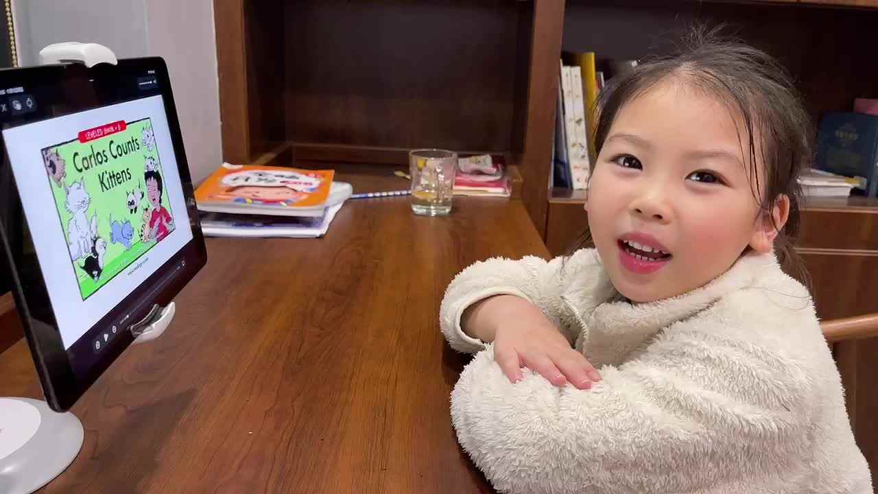 《Carlos Counts Kittens 卡洛斯数猫咪》