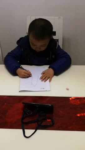 11.9家庭作业—复习10的分解与组合