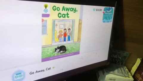 学A班袁承泽泰《go away cat》磨耳朵7