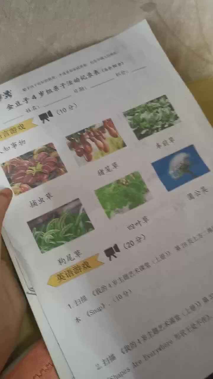认知事物