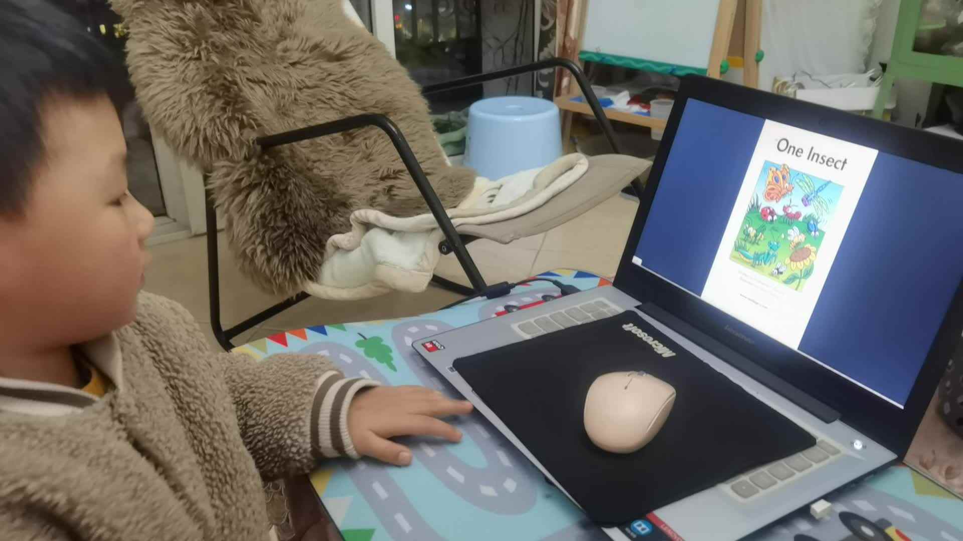 跟读英语绘本《One Insect 一只昆虫》.mp4