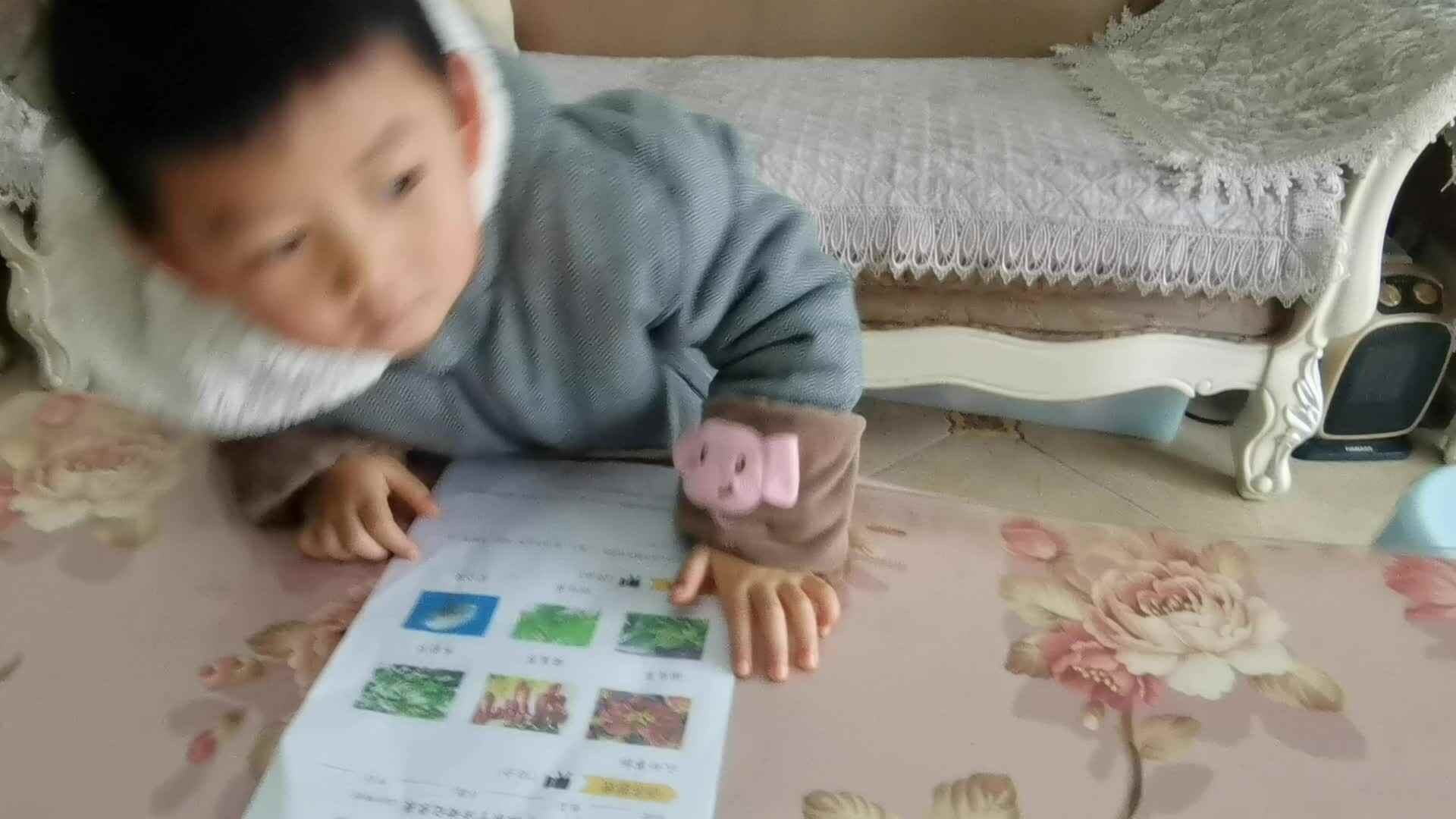认识事物.mp4