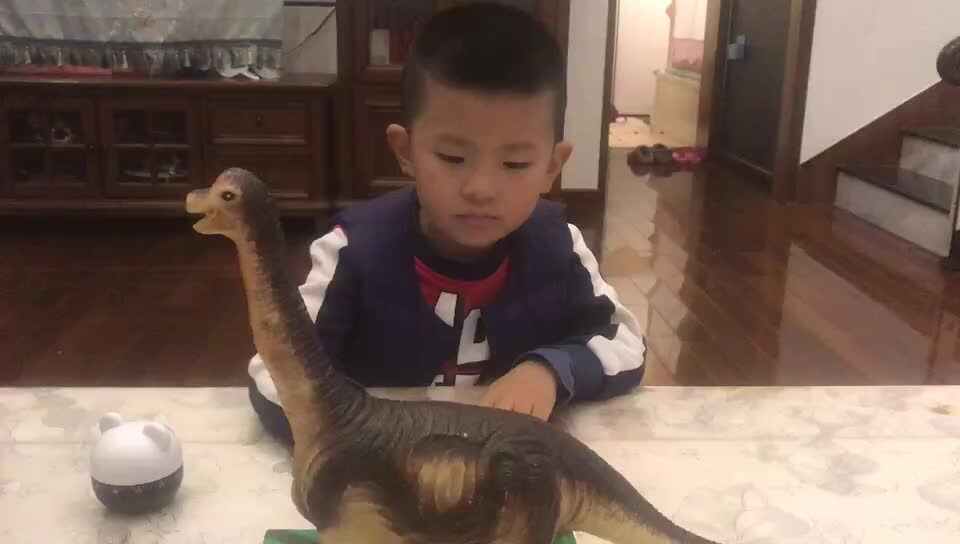 文明手势.mp4