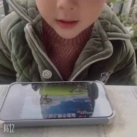 学B班丶李北辰观看视频（一图四式）