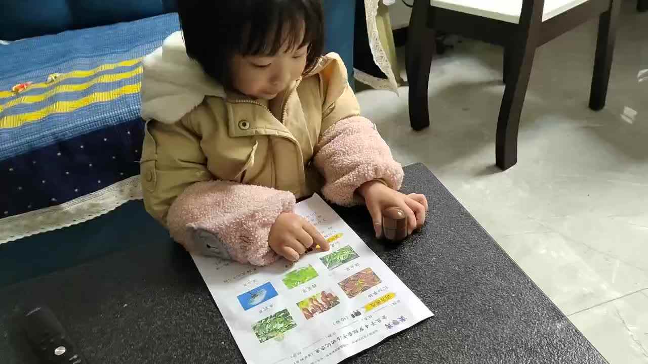 2021.11.29《认知事物》