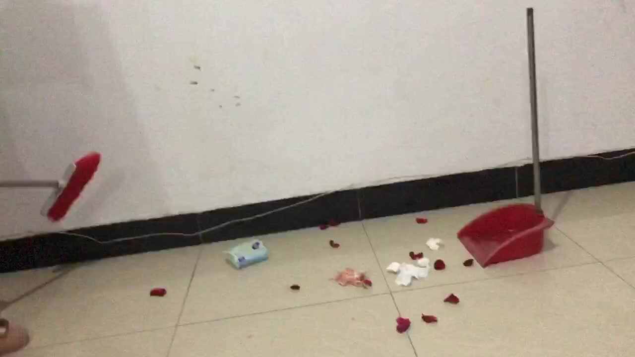 trim.D1EF2DA8-372C-4DA9-BA23-E0C464957513.MOV