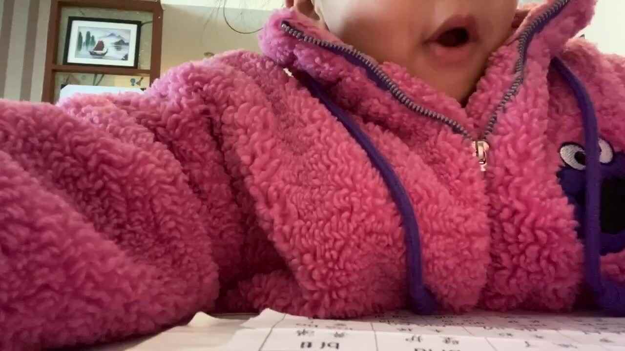 11.9拼音复习拼读