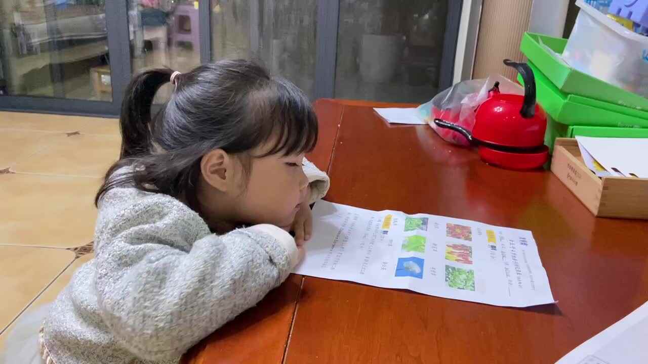 2021.11.28闯关练习-认知事物