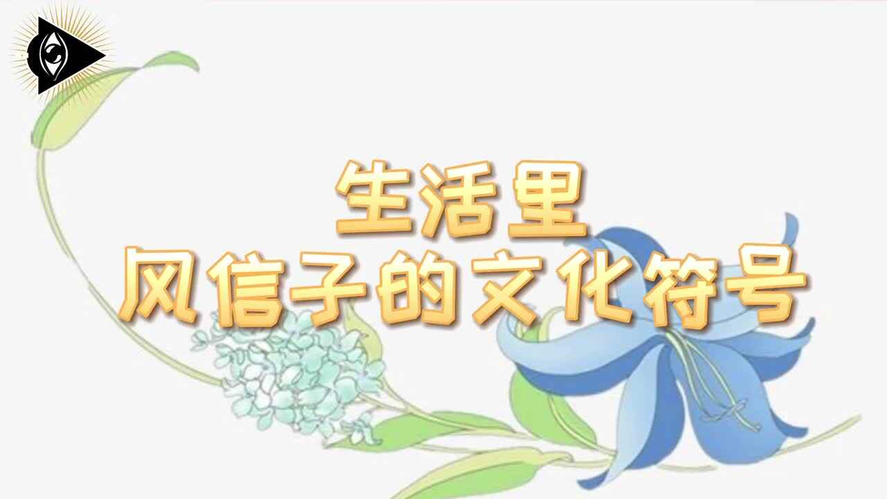 神秘符号博物馆——研学活动：生活中的风信子文化符号（4岁组）