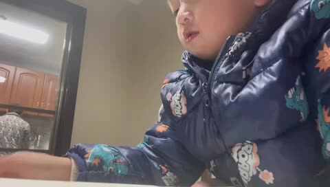 叶公好龙