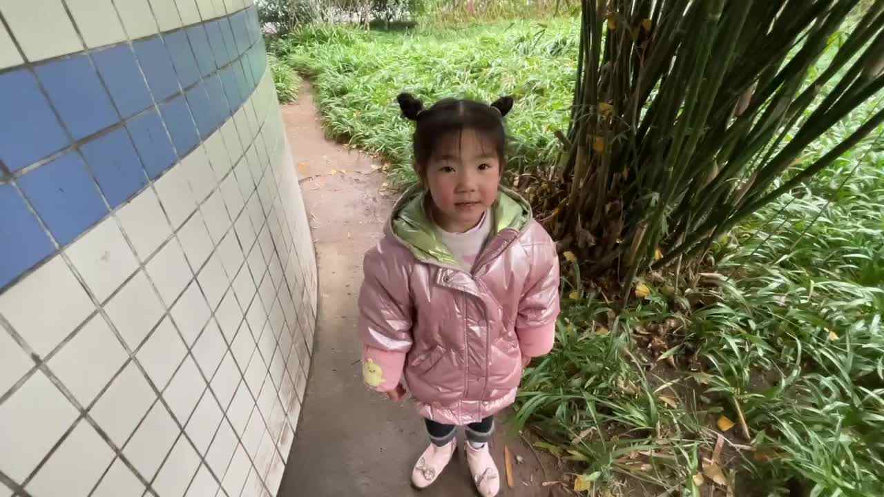 寻找竹子
