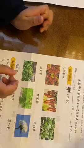 2021.12.4 冯瑾煜认知植物