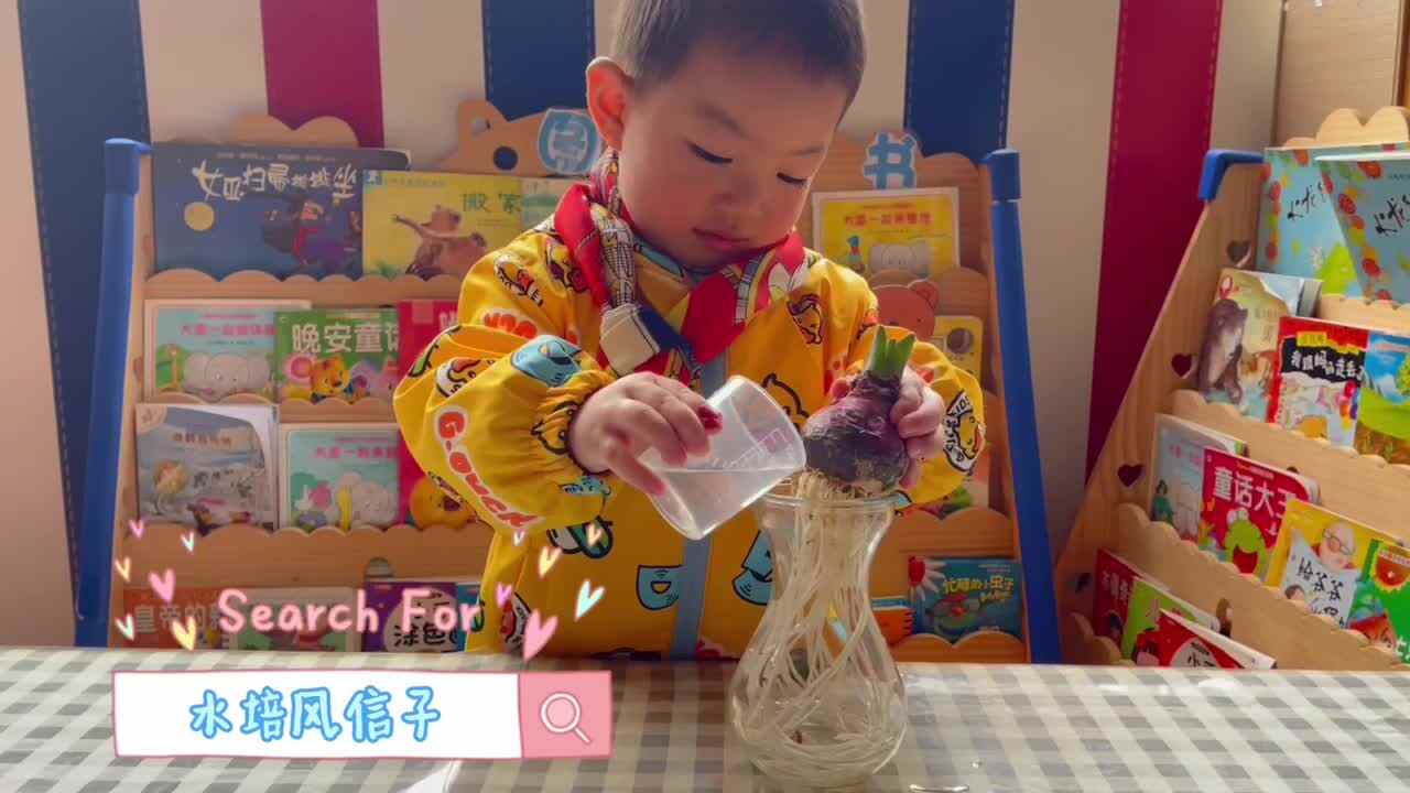 神秘符号博物馆——研学活动：探索种植风信子花(3岁组）