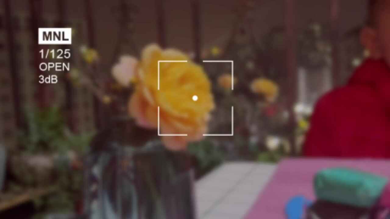 中B班丶李北洋（手工__风信子）