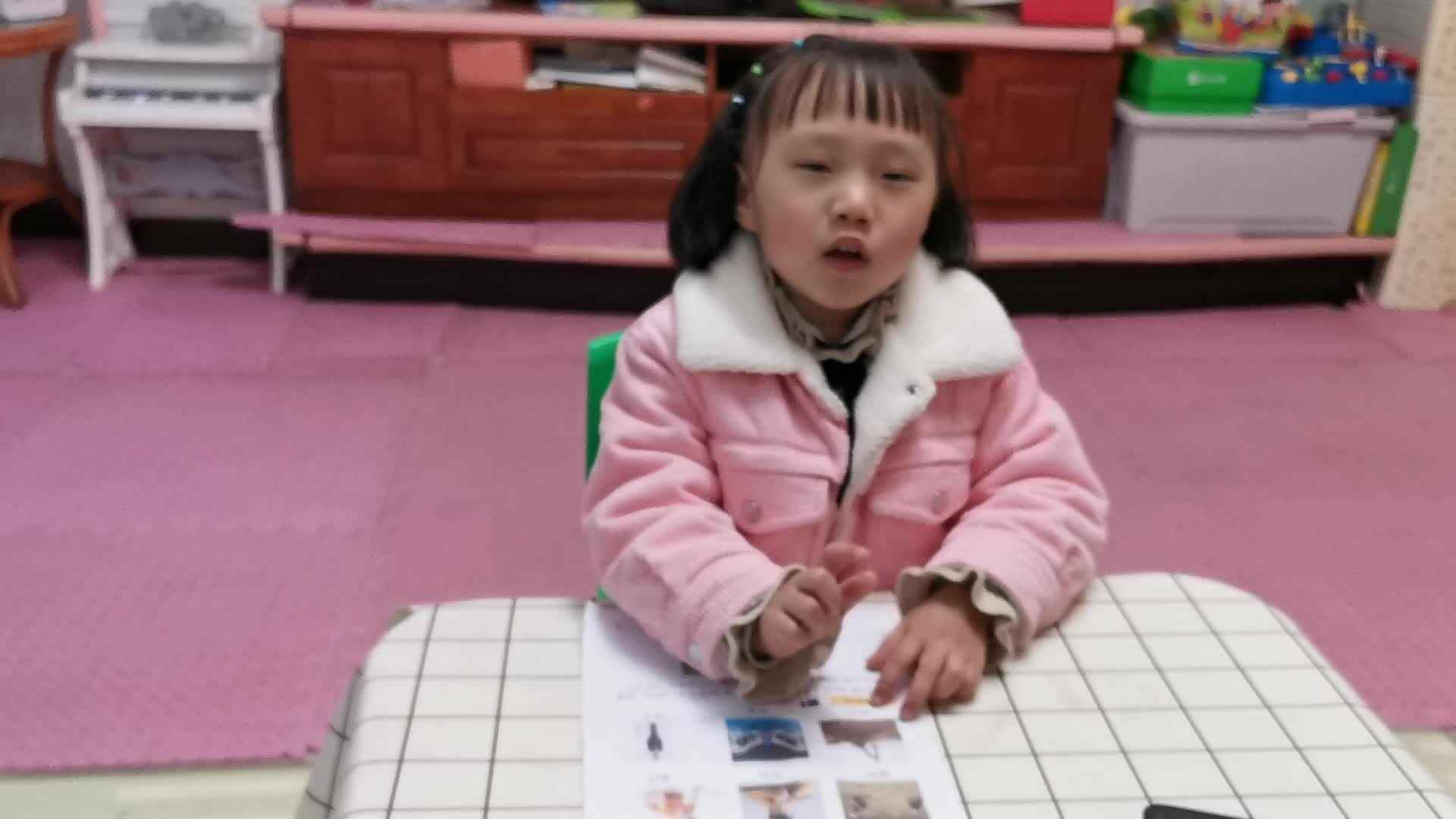 VID_20211212_192257.mp4    12月12日看图识物