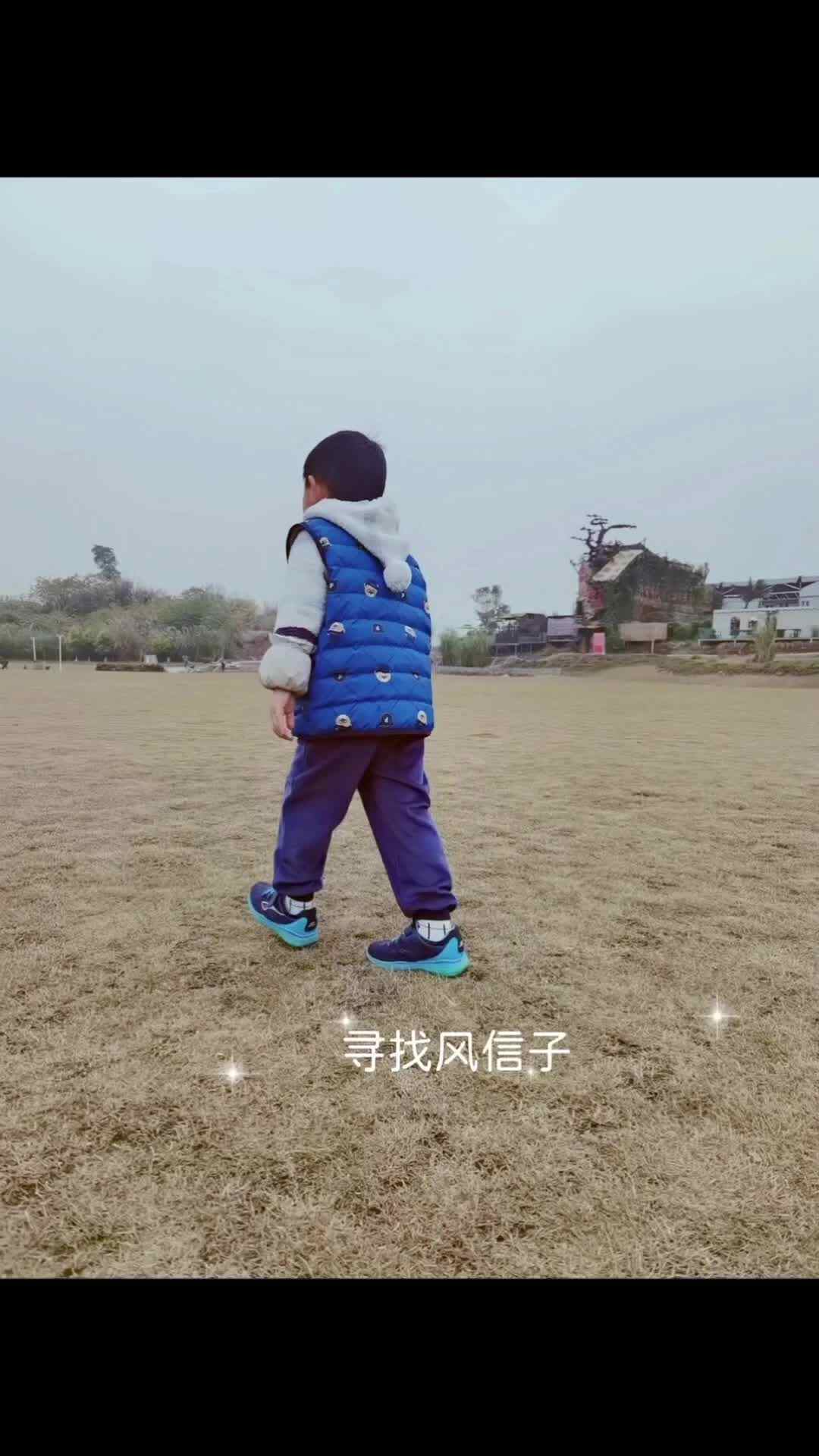 寻找风信子.mp4