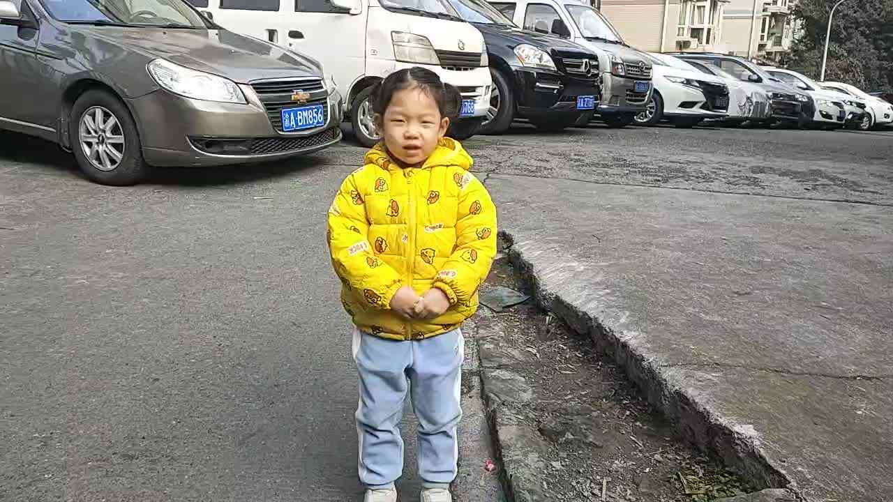 寻找生活中的竹子.mp4