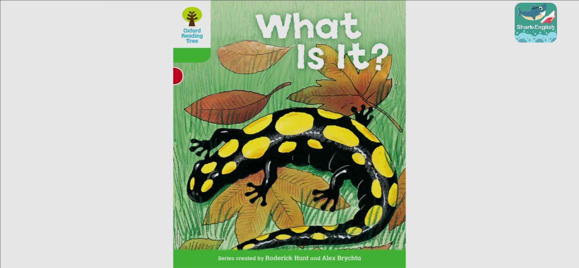 ORT36-正课1-What Is It?