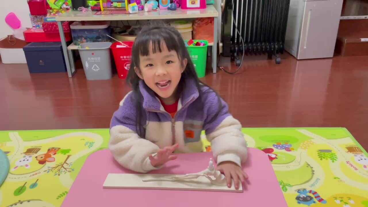 寻找生活中的竹子