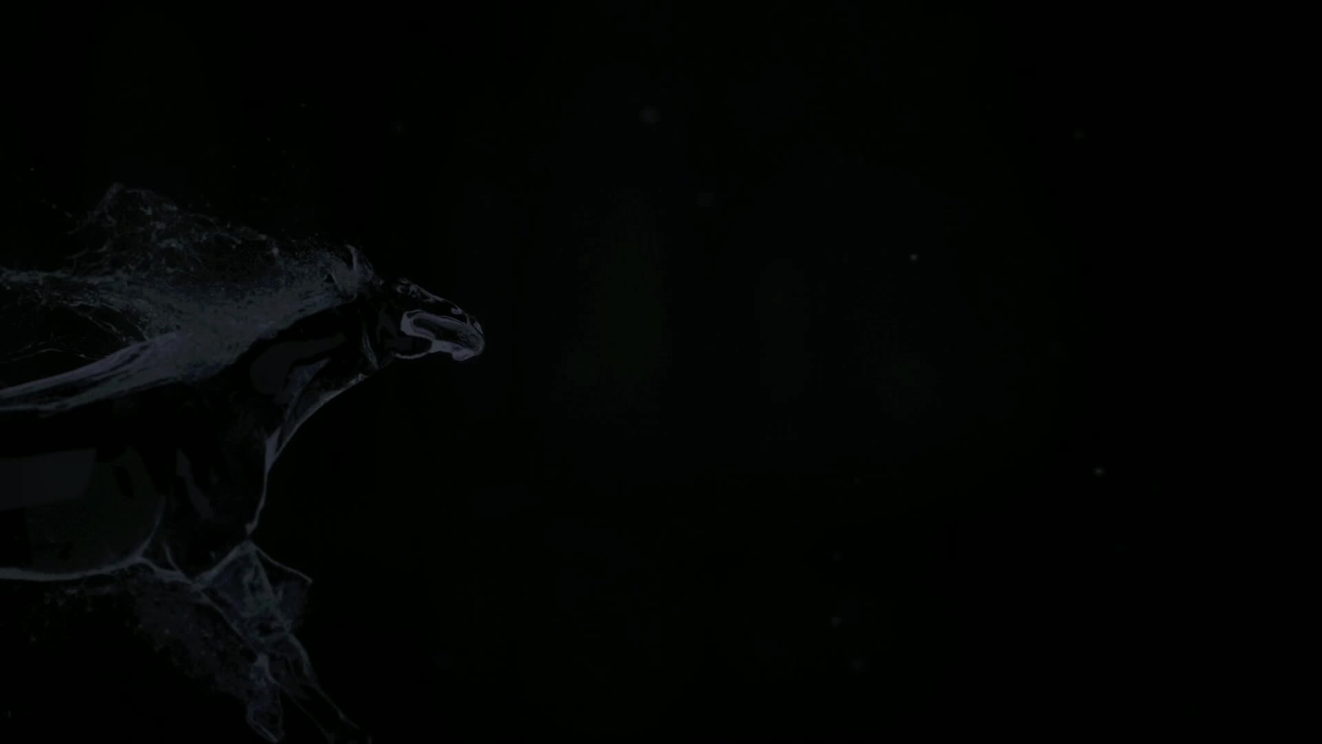 金豆子幼稚园特色课程——马术