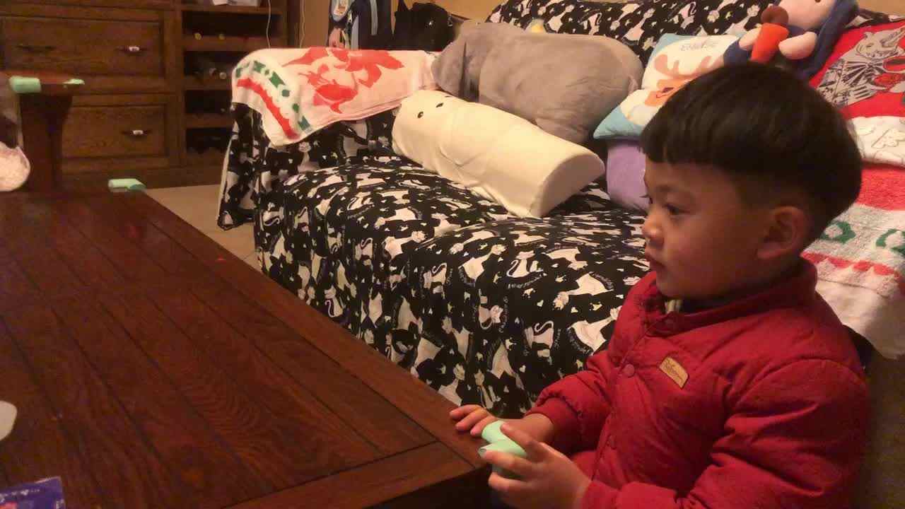 观看视频醒狮.mp4
