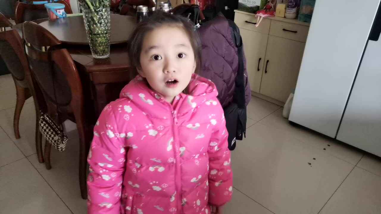 寻找《斐波那契数列》