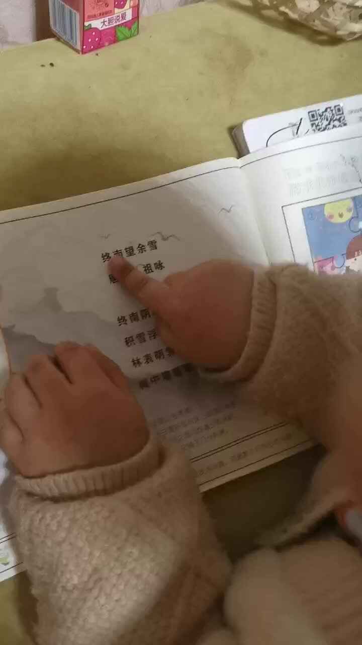 终南望余雪