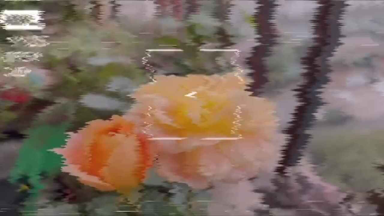 ⁣⁣⁣⁣神秘符号博物馆——研学活动：亲子手工折纸鸽子（4岁组）