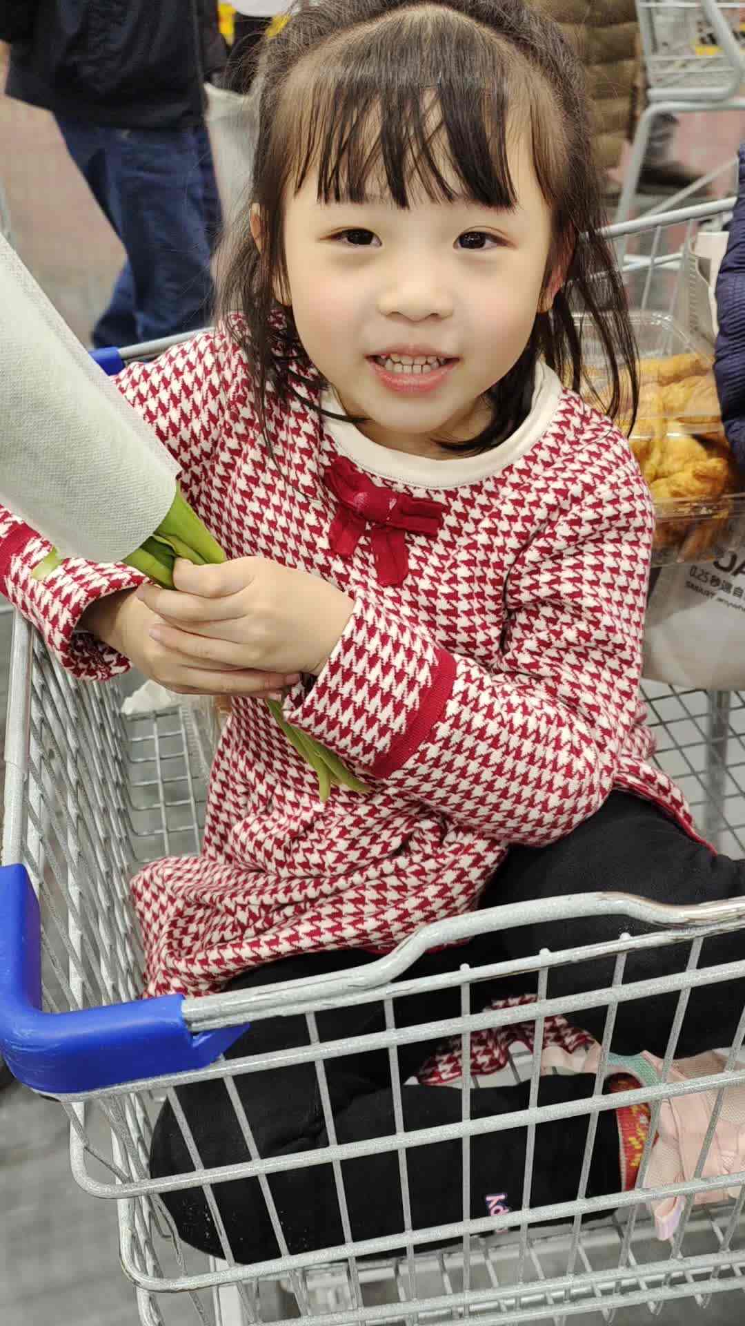 2023级大B班20211211许琳曼寻找郁金香