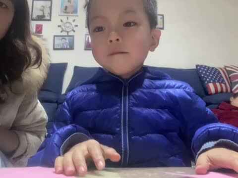 2023级大B班叶梓皓2021.12.13手工作品，郁金香