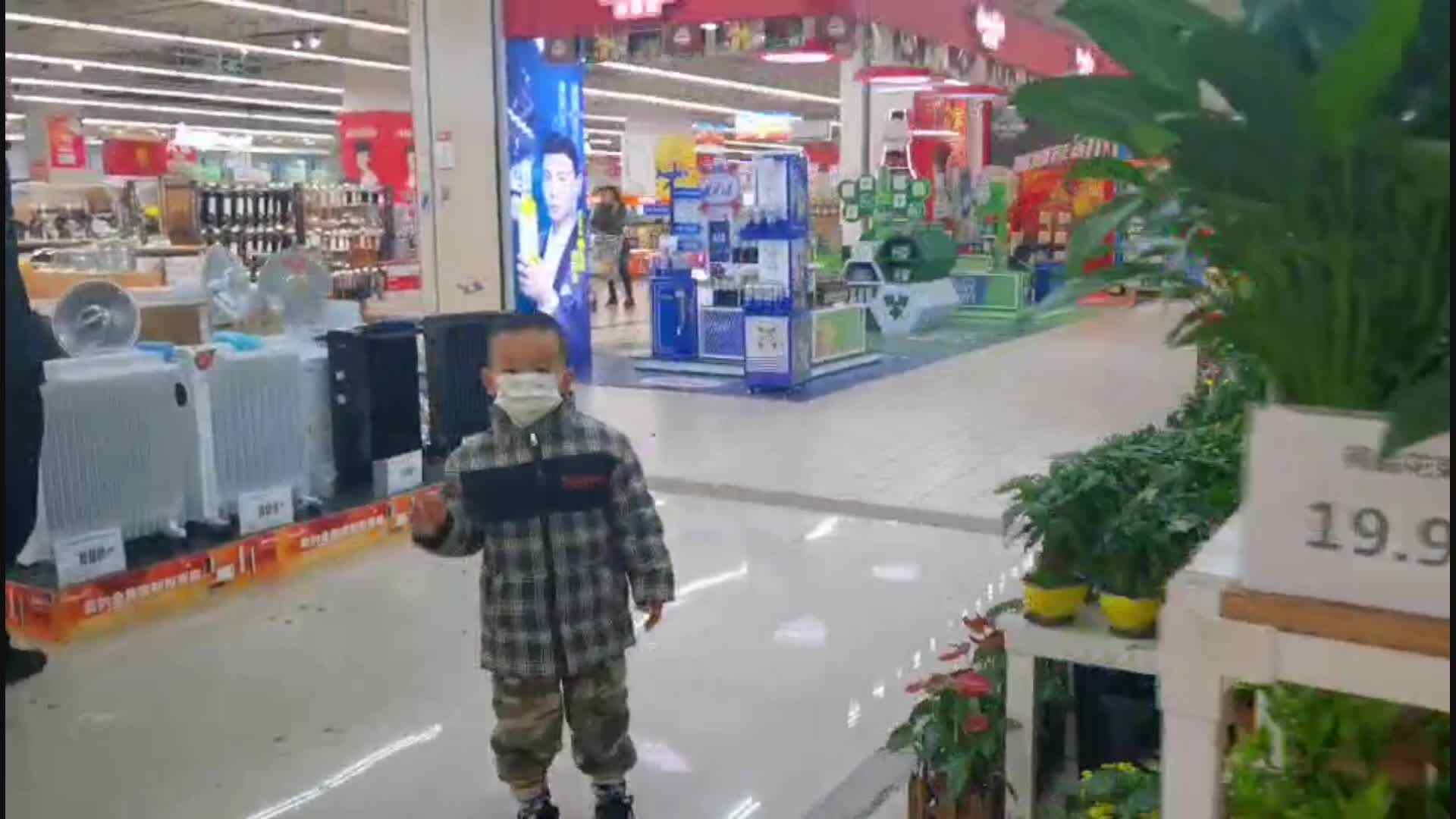 《寻找竹子》mp4