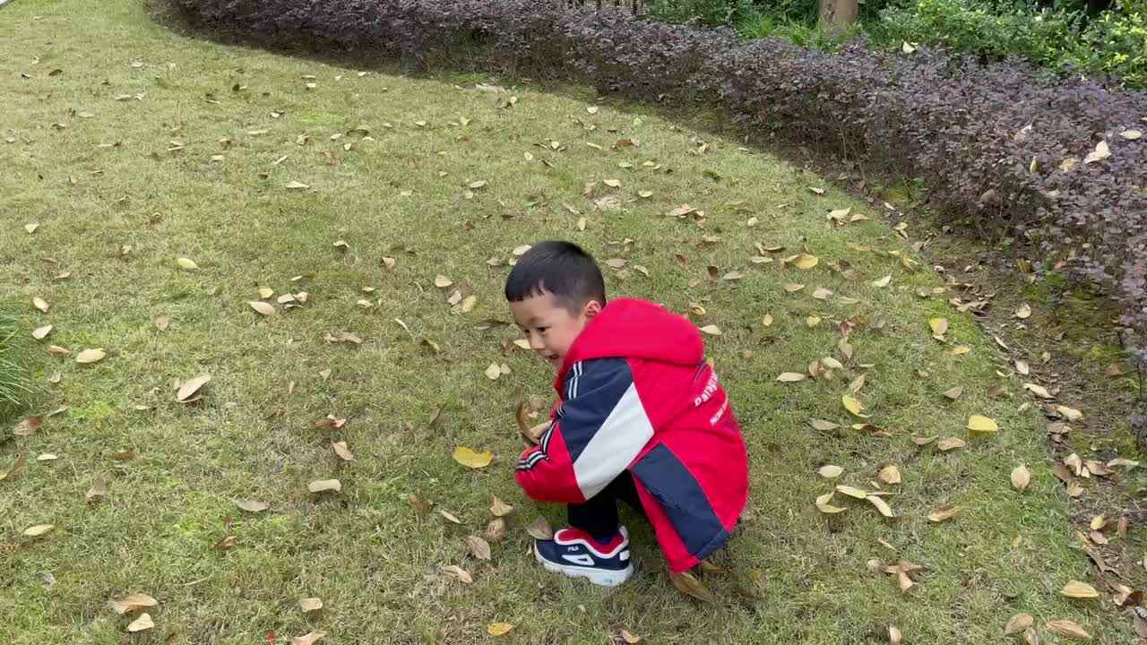trim.0AD4FCD2-A39F-4924-995B-2F128BCE1F06.MOV