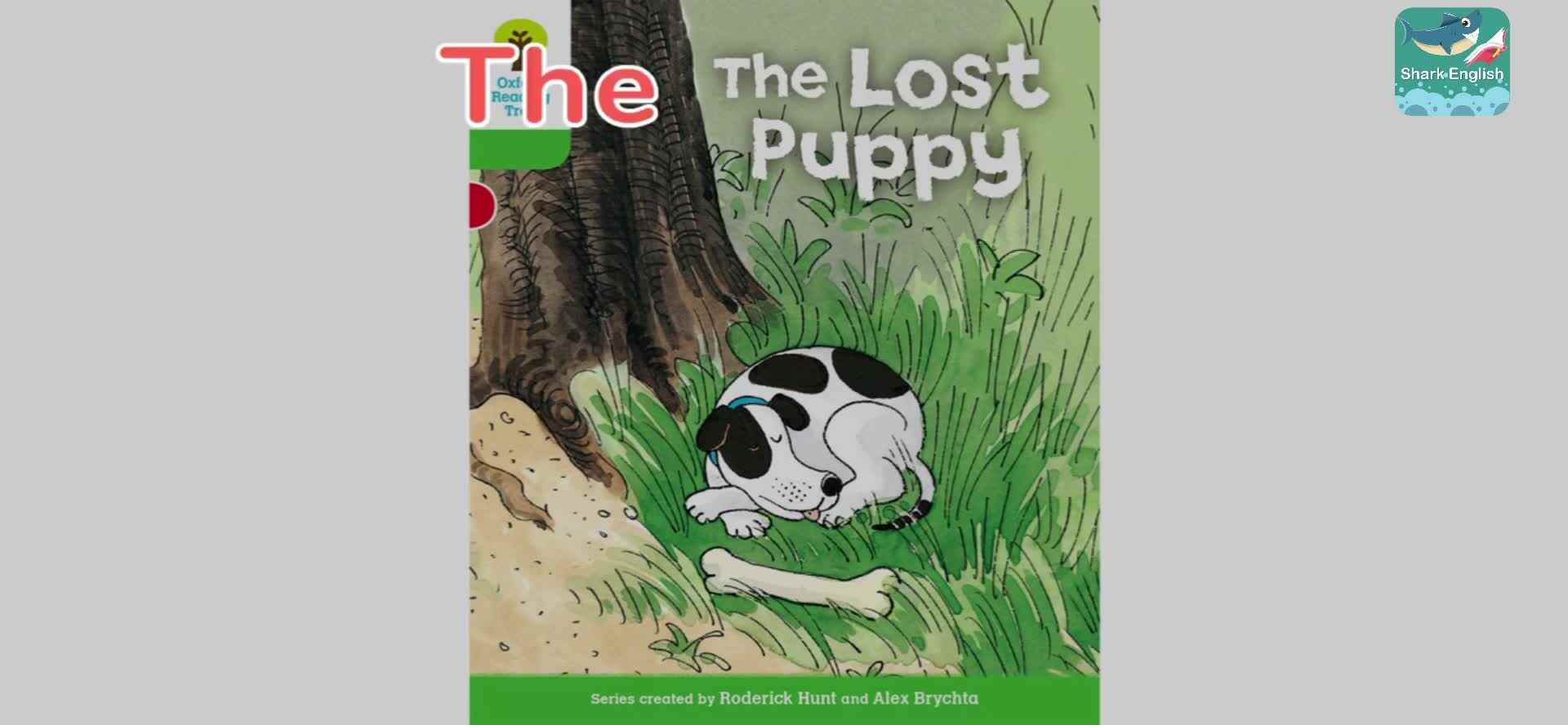 ORT34-正课2-The Lost Puppy
