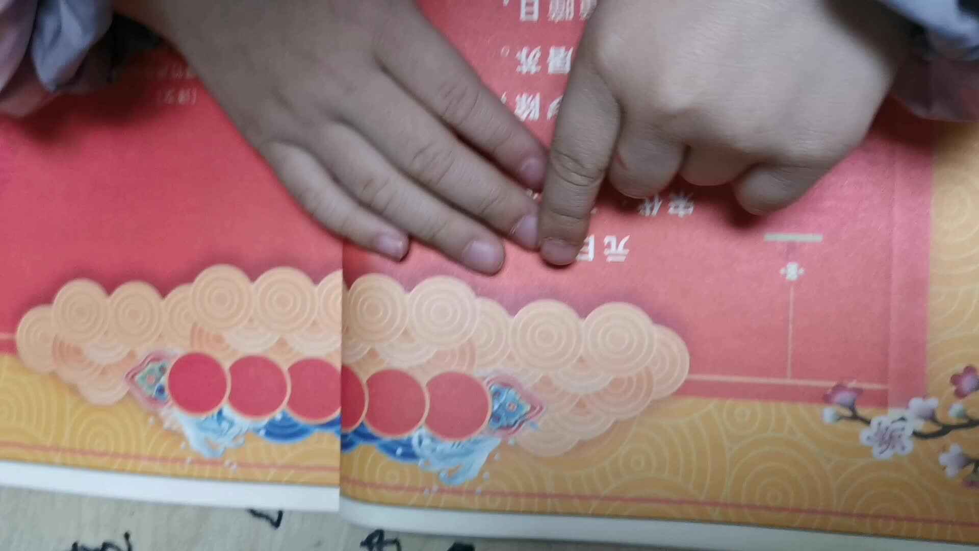 中B班蒋蕙文.mp4