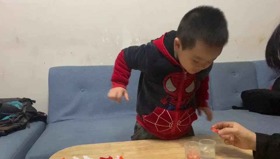 2021.12.21科学小实验《胡萝卜小船》