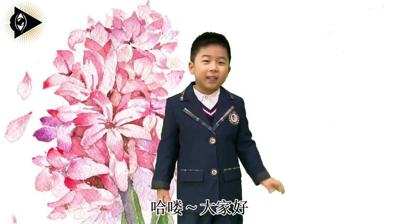 神秘符号博物馆——研学活动：关于风信子的诗（4岁组）
