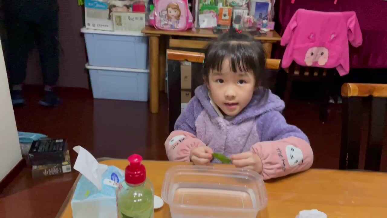 科学小实验《会跑的树叶》