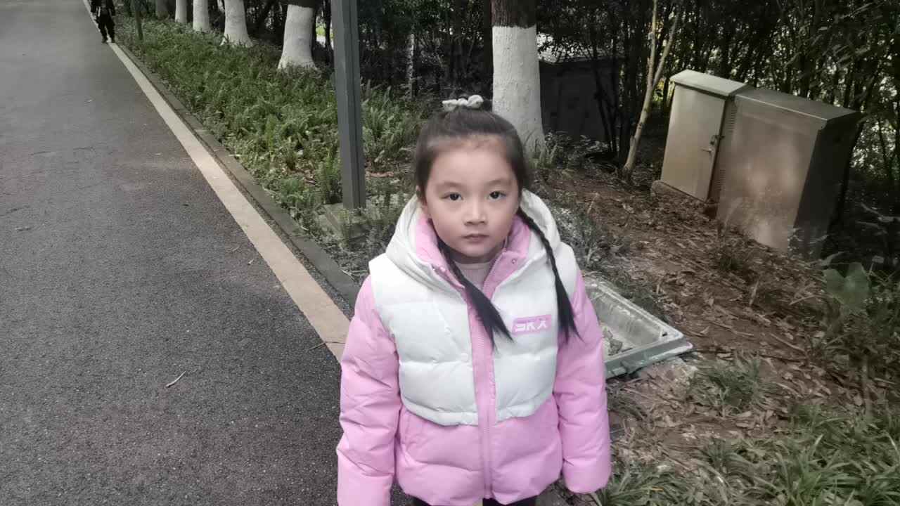 寻找生活中的竹子